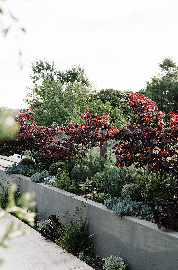 gardeners-garden-portrait-File 00003
