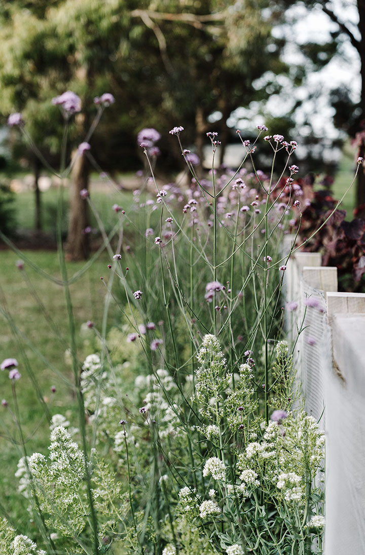 gardeners-garden-portrait-File 00008