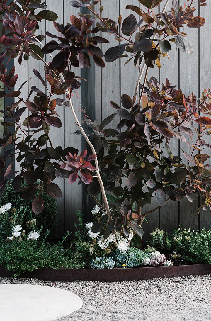 gardeners-garden-portrait-File 00010
