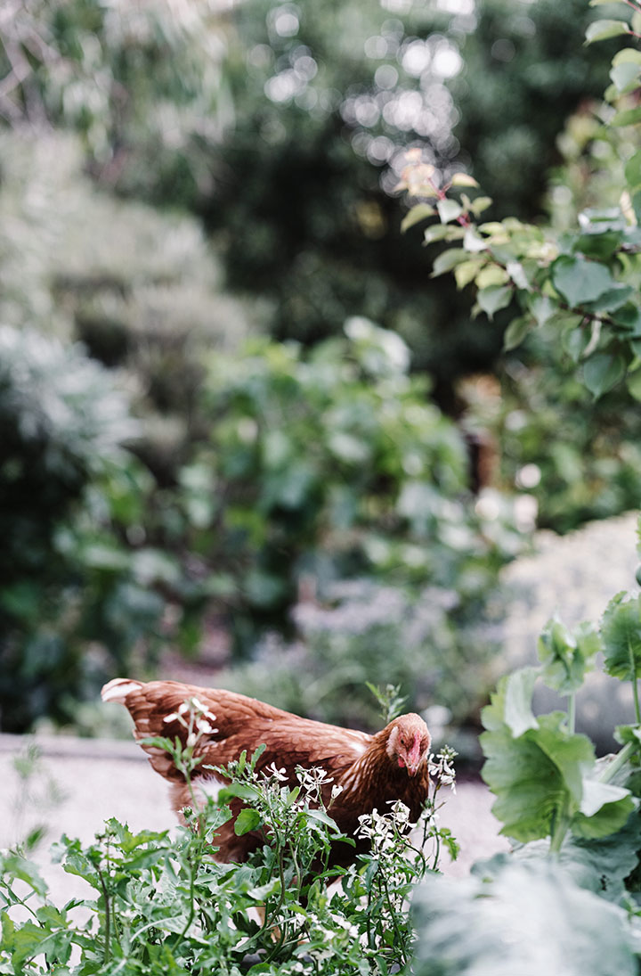 gardeners-garden-portrait-File 00018