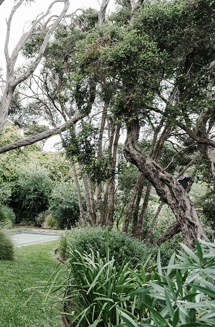 Moonah_Portrait_55