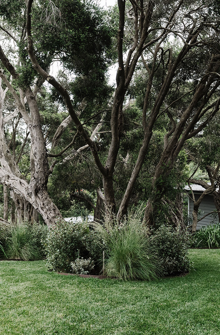 Moonah_Portrait_56