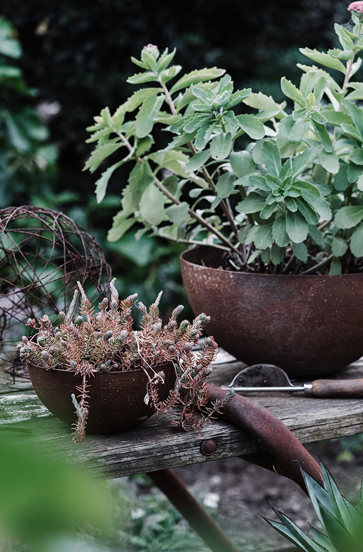 Gardners-Garden_03