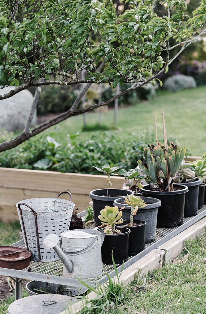 Gardners-Garden_04