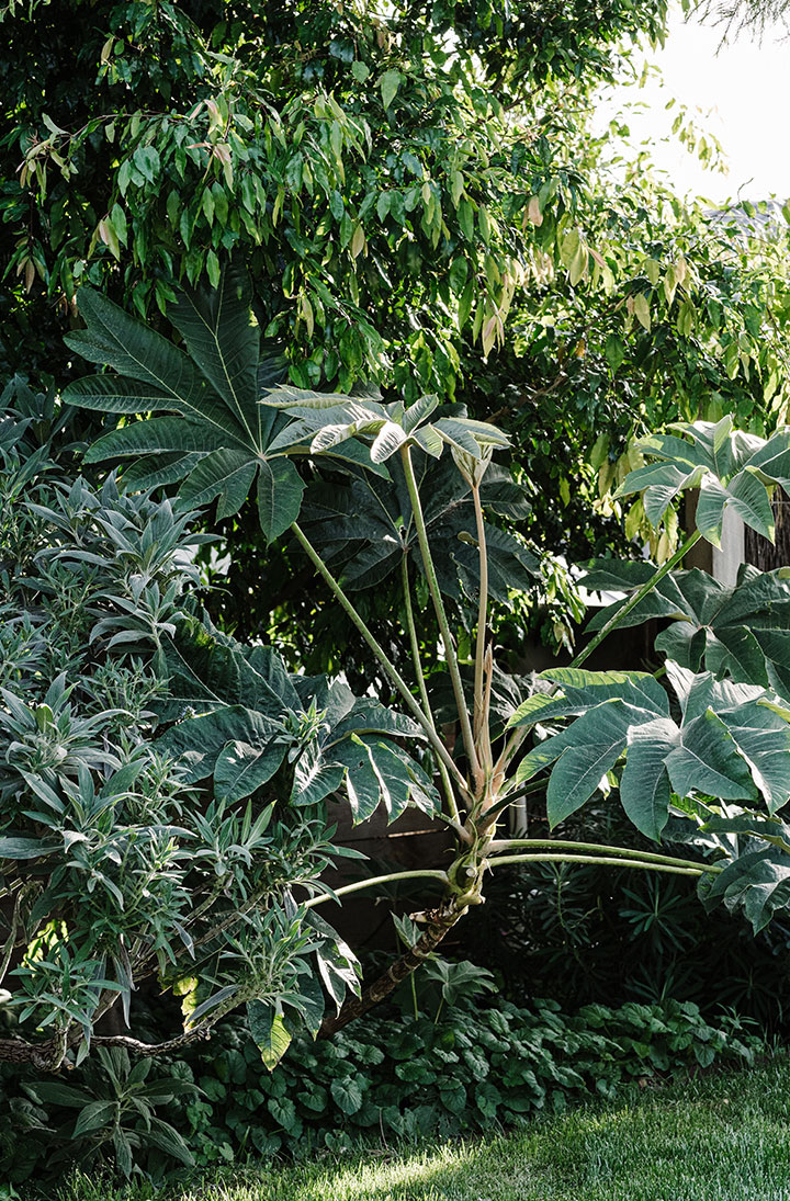 Gardners-Garden_10