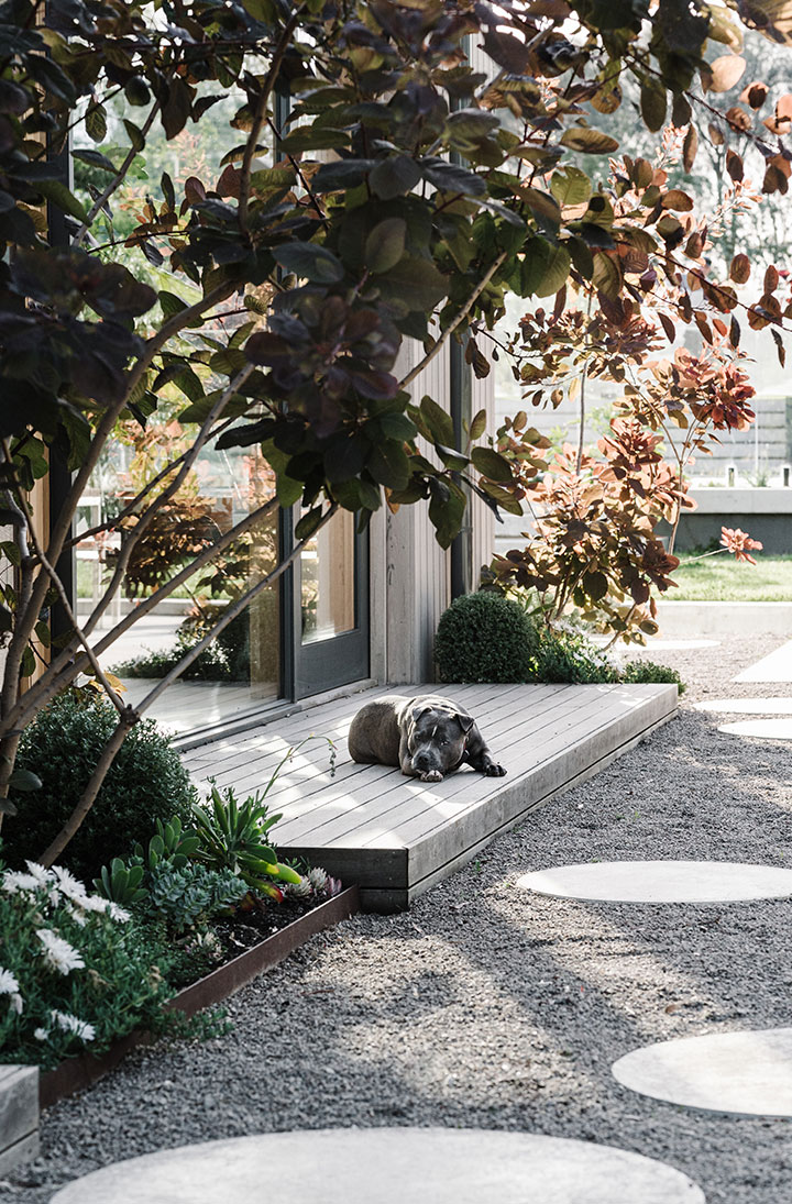 Gardners-Garden_13