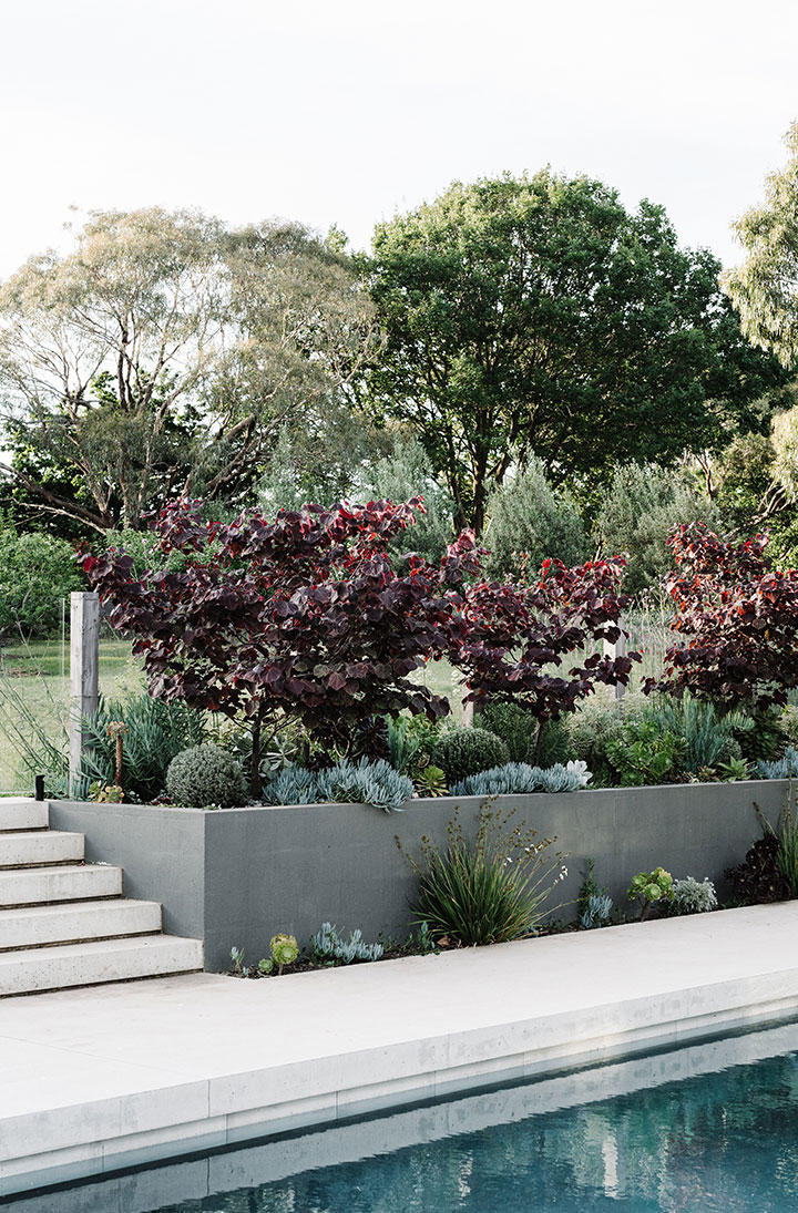 Gardners-Garden_16