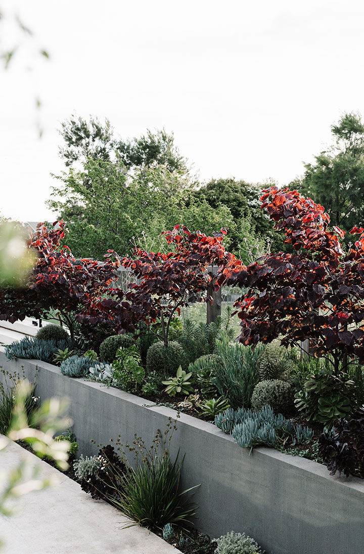 Gardners-Garden_19