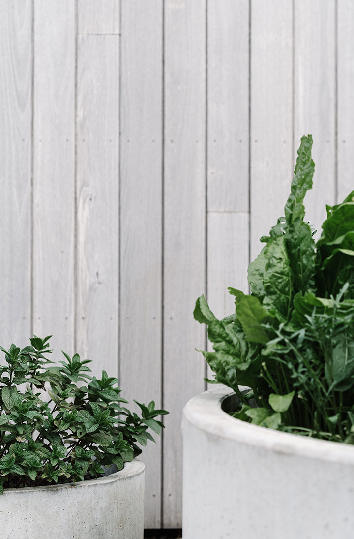 Gardners-Garden_31